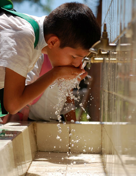 Fundacion Niño Feliz